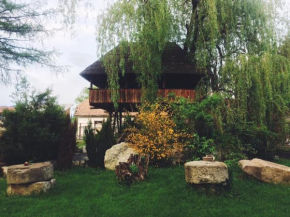 Casa Ott